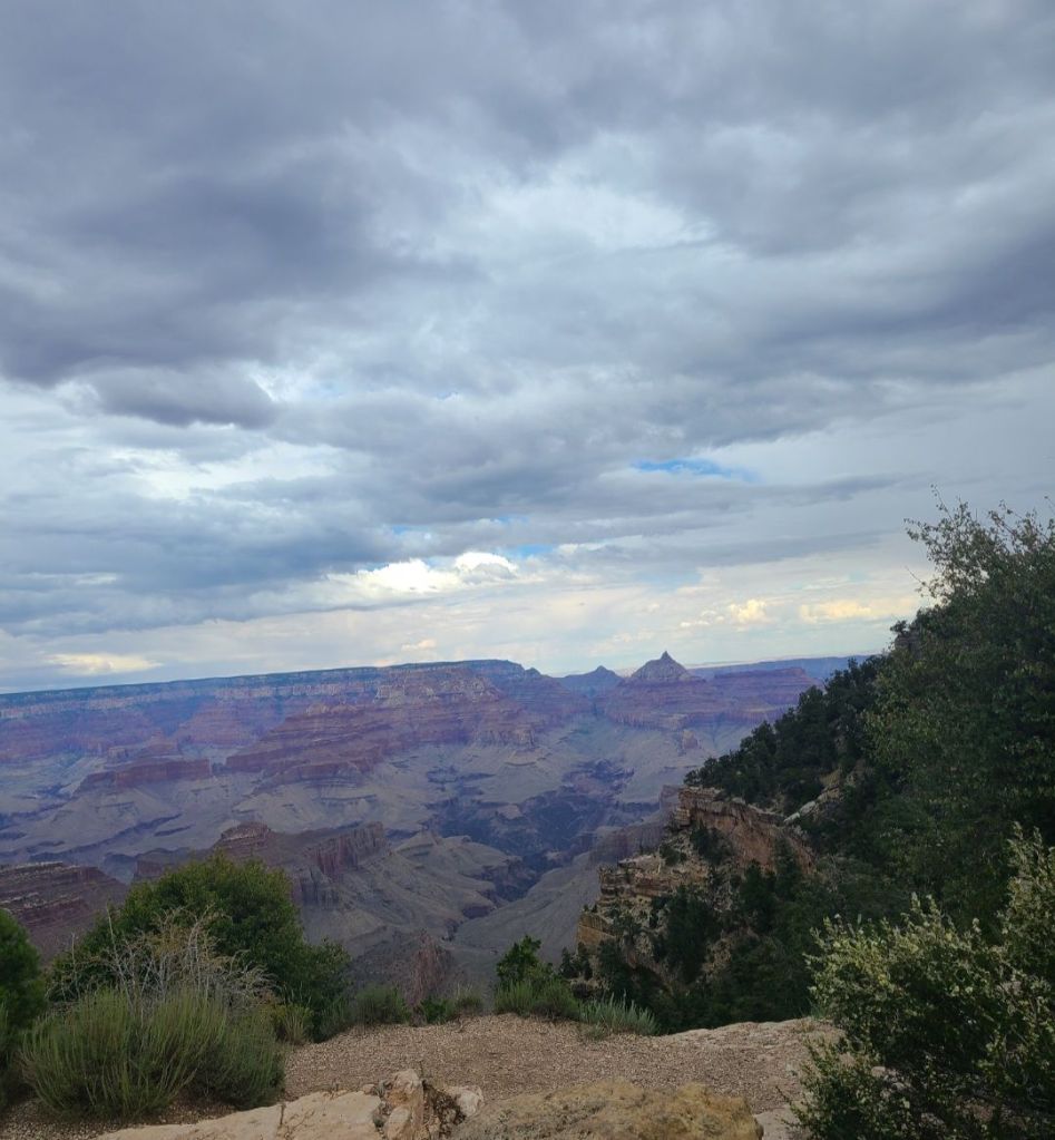 screenshot_20240401_155339_gallery7584744028936344657