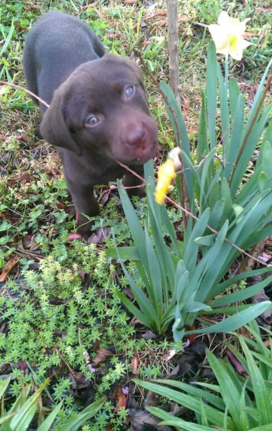 screenshot_20240517_130036_facebook6284268906726540114