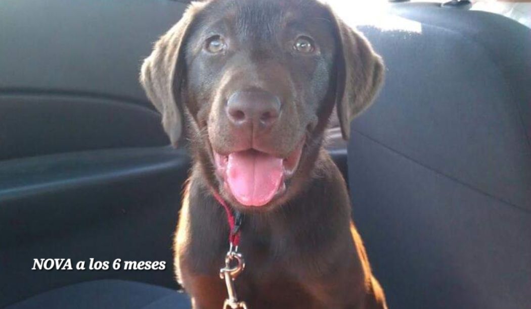 screenshot_20240517_130147_facebook3374694759179245731