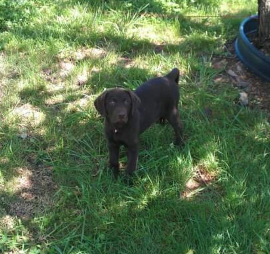 screenshot_20240517_130159_facebook4612115205103636340