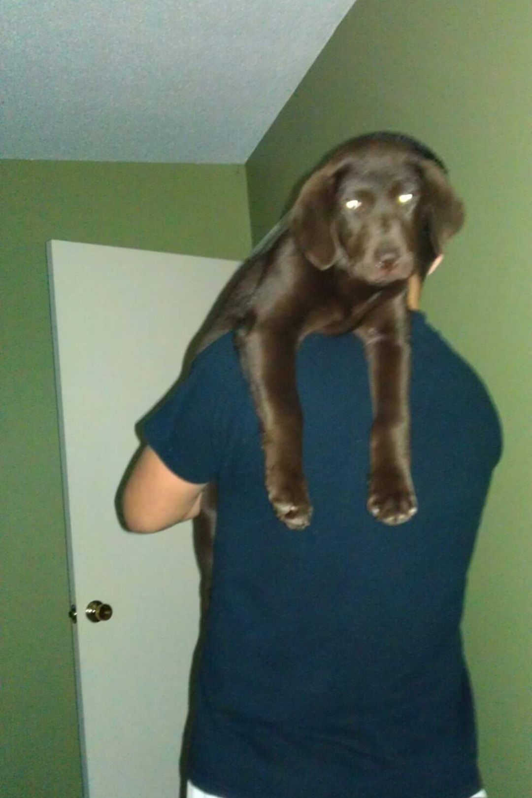 screenshot_20240517_130223_facebook7614930832282630997