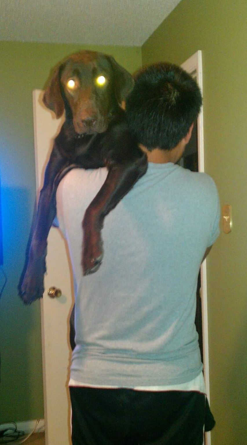 screenshot_20240517_130231_facebook333037770271528980