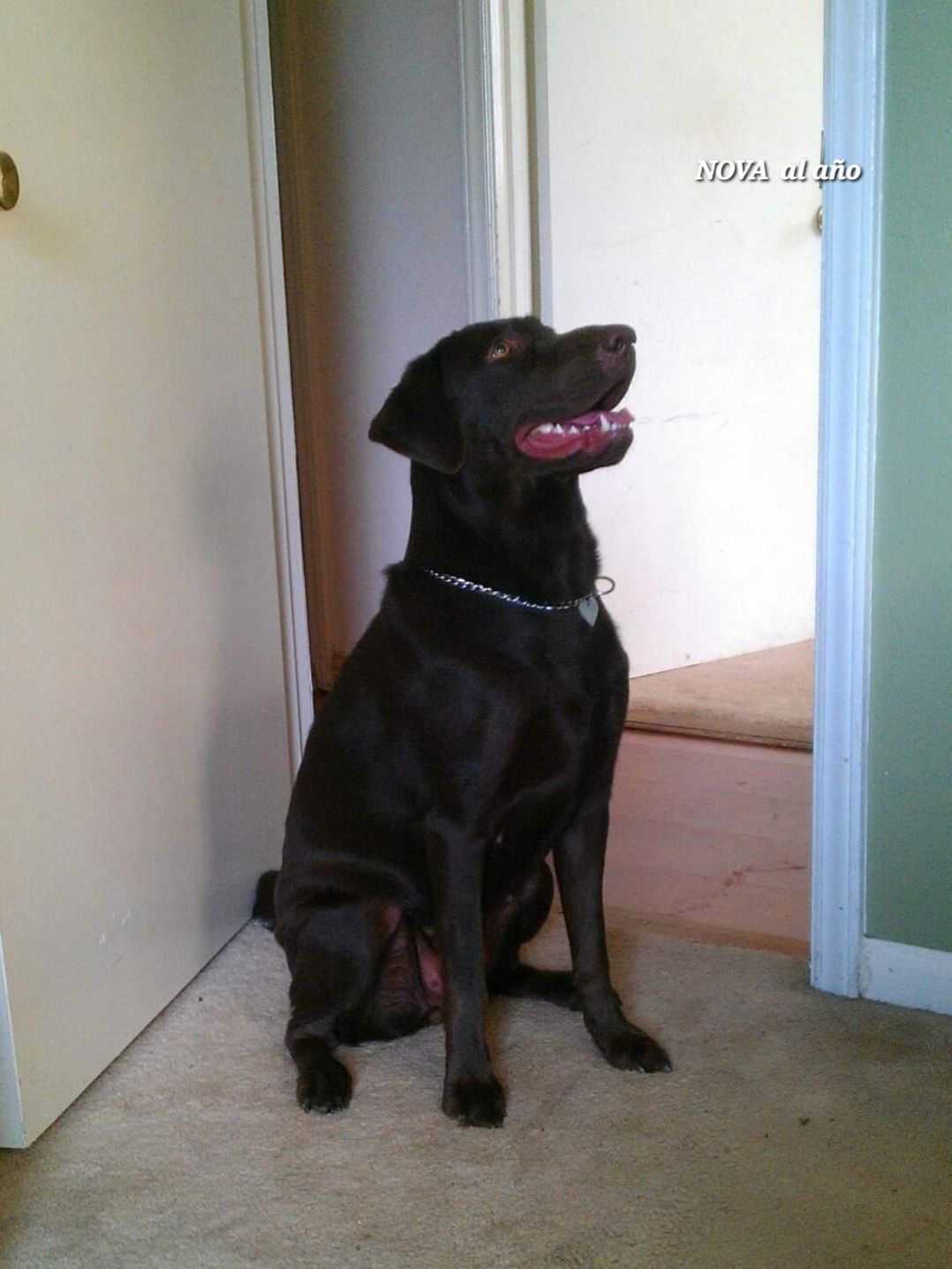 screenshot_20240517_130356_facebook4647080891469410681