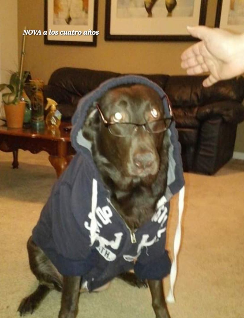 screenshot_20240517_130612_facebook2867352661992974357