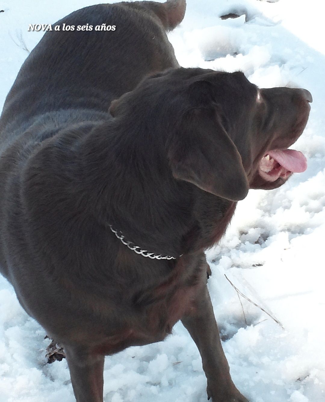 screenshot_20240517_131227_gallery7814433960105707115