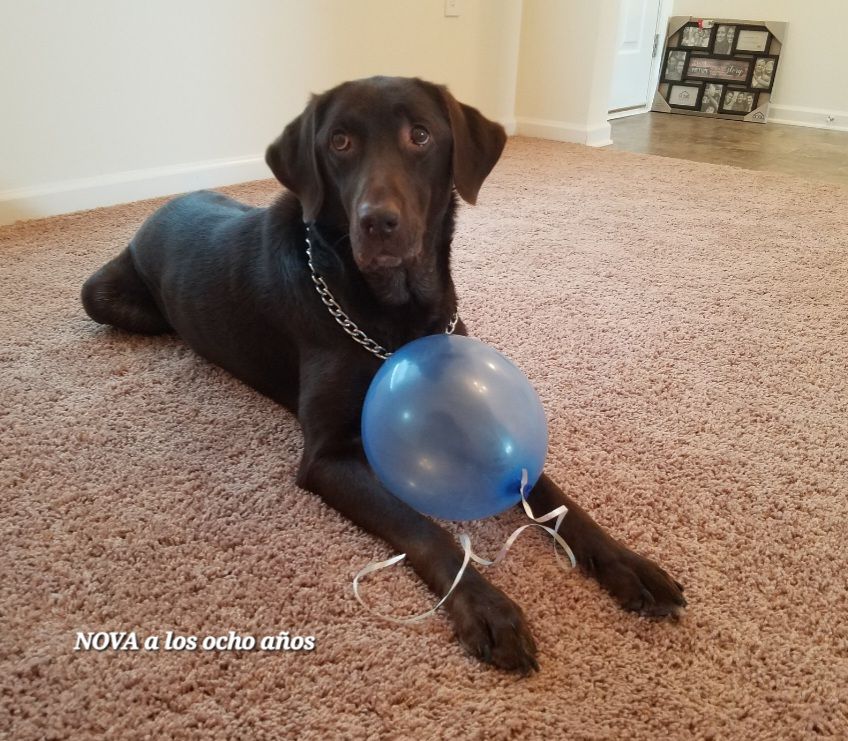 screenshot_20240517_131525_gallery1054451468529502627