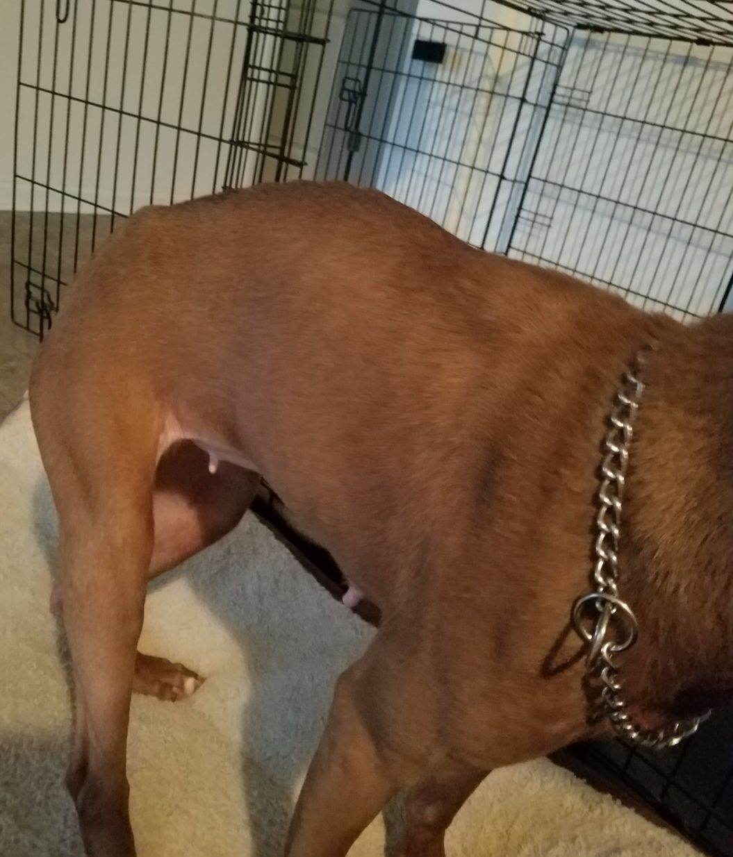 screenshot_20240517_132330_gallery849658344588397774