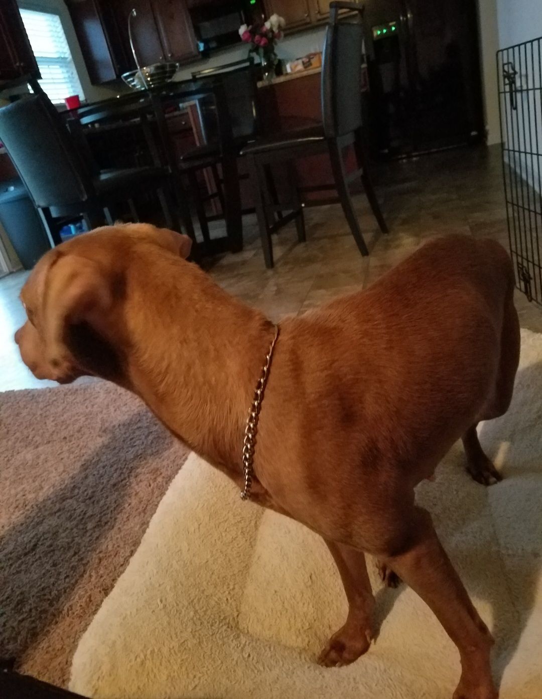 screenshot_20240517_132340_gallery5019720213522749258