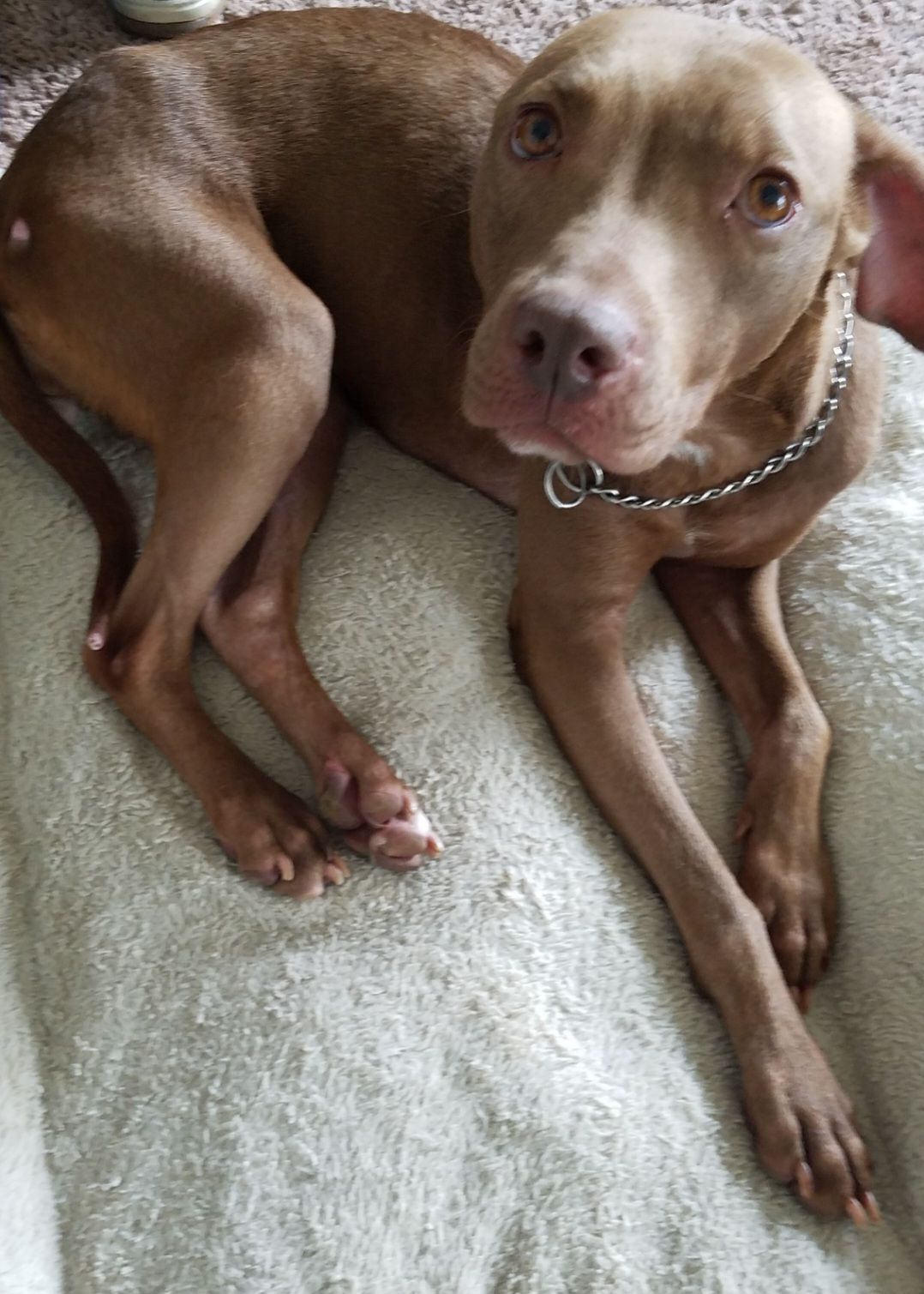 screenshot_20240517_132353_gallery4061224428805769857