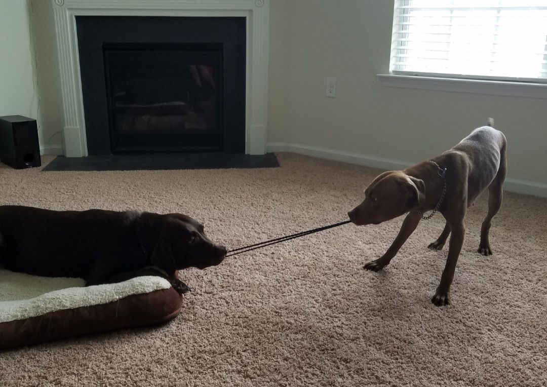 screenshot_20240517_132411_gallery3193110459608281946