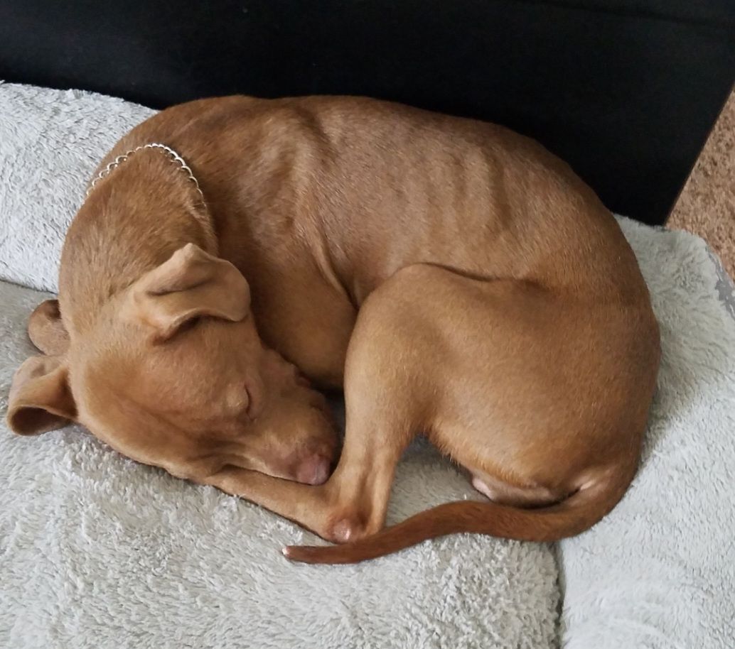 screenshot_20240517_132419_gallery171452295785591609