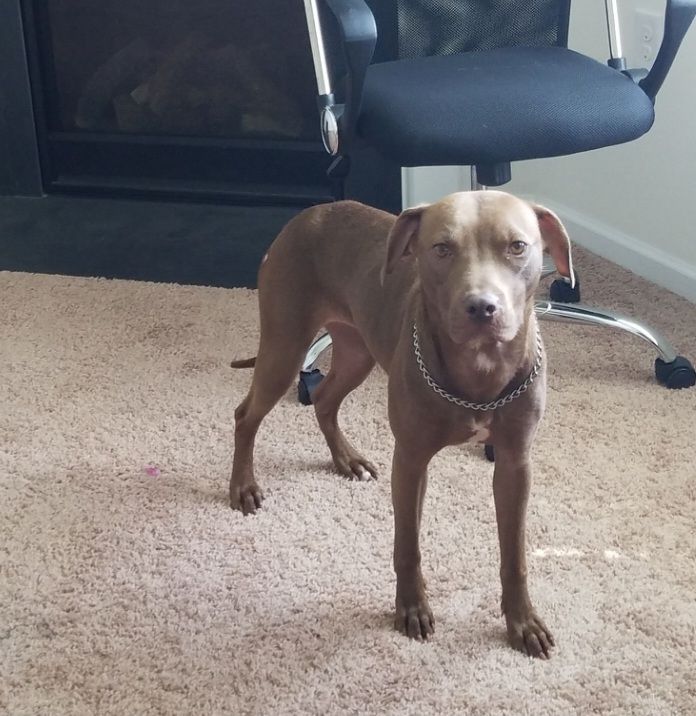 screenshot_20240517_132429_gallery7136589652039012244