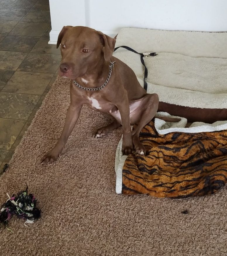 screenshot_20240517_132438_gallery2767562382149215742