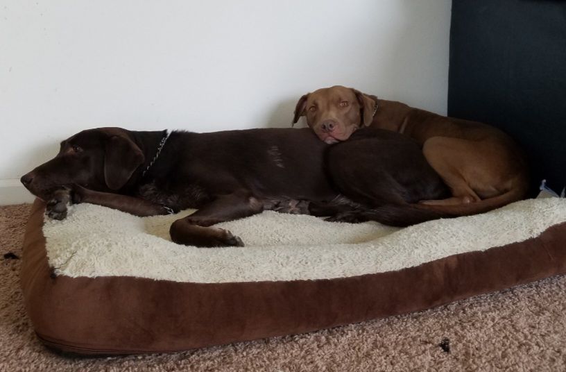 screenshot_20240517_132509_gallery2877188121322311439