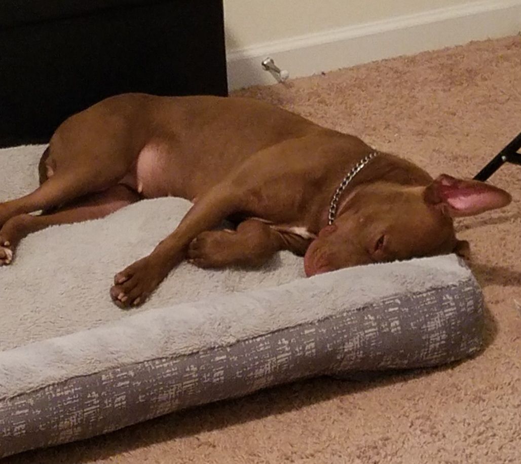 screenshot_20240517_132645_gallery5832119734425595189