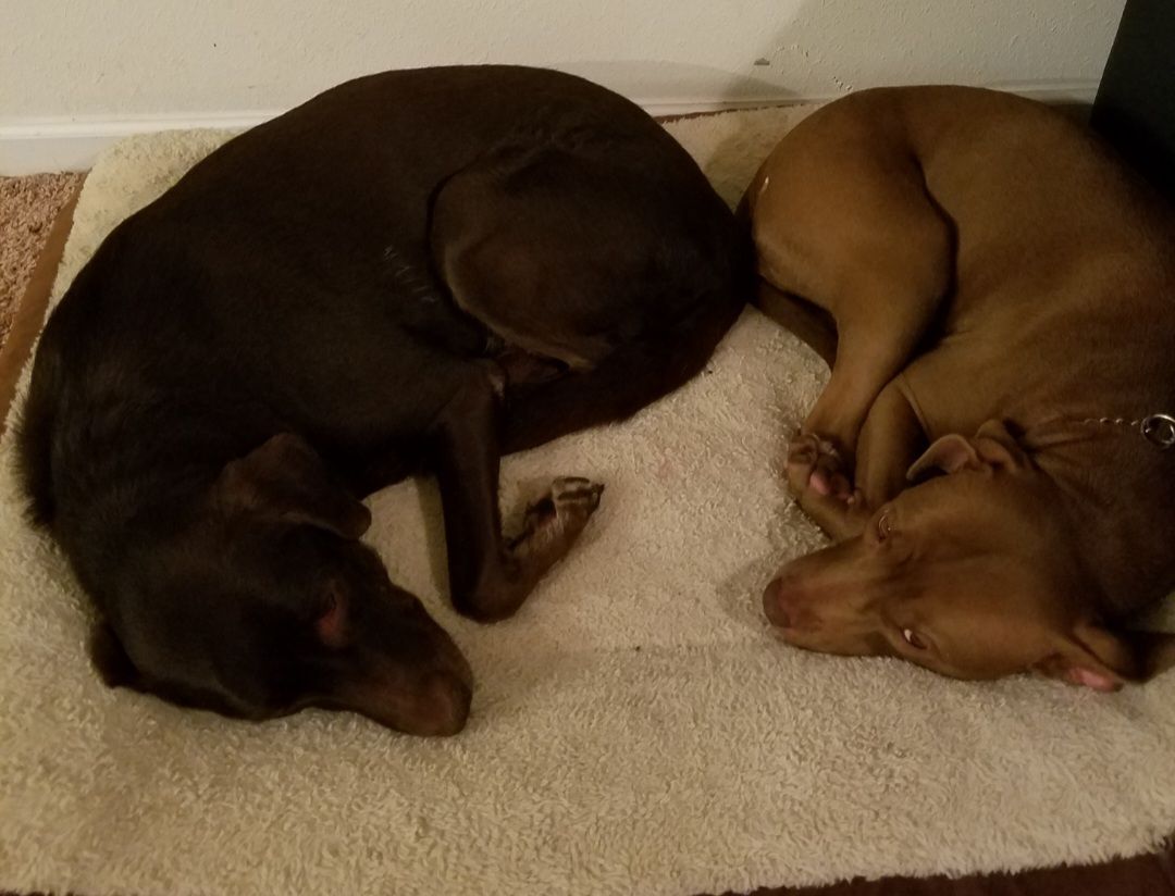 screenshot_20240517_132718_gallery6758649169107280709