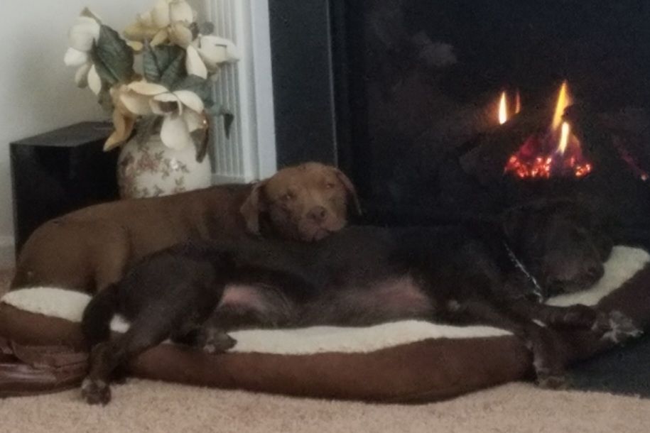 screenshot_20240517_132813_gallery6730307198544376546