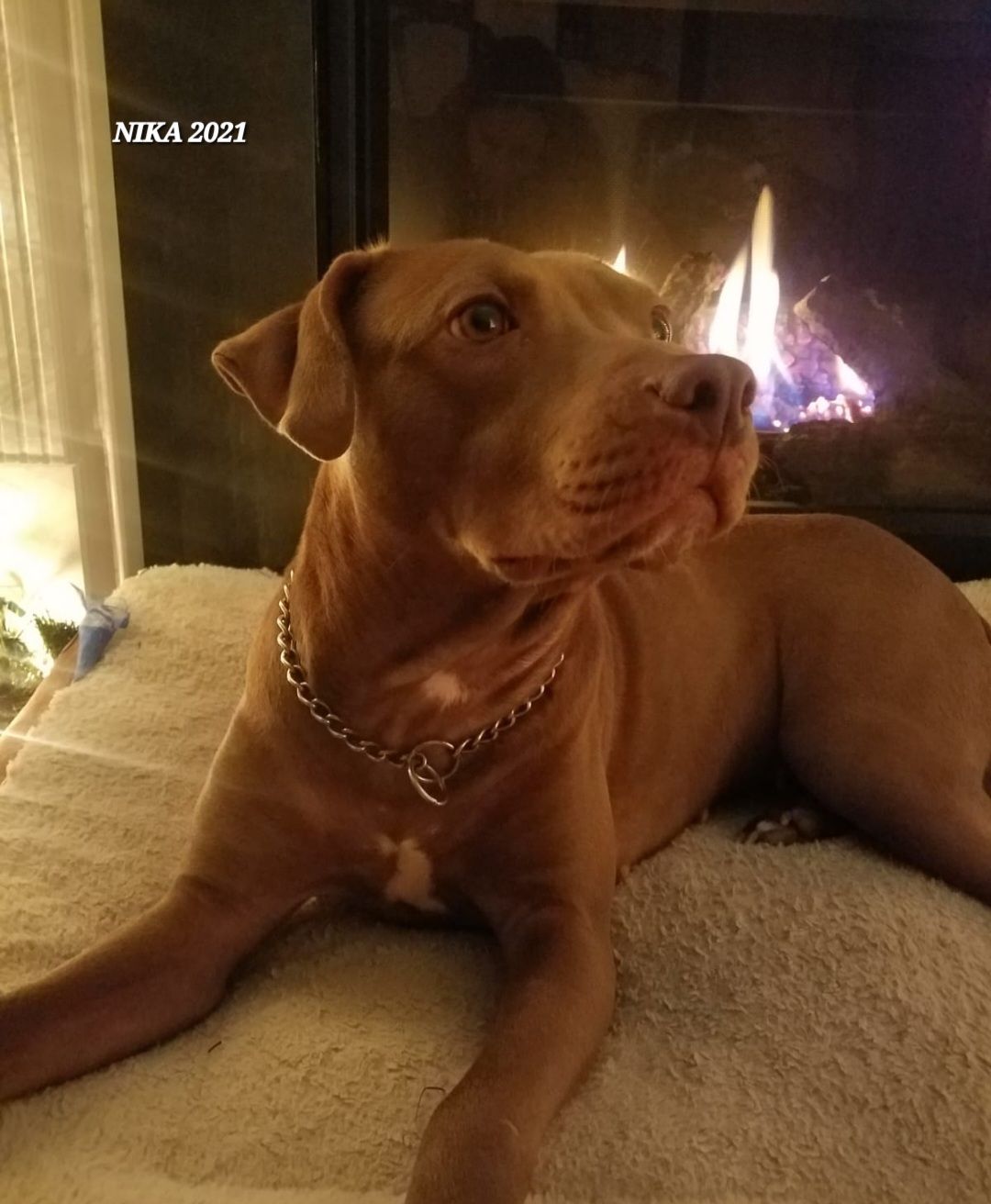 screenshot_20240517_132819_gallery2655513967912380306