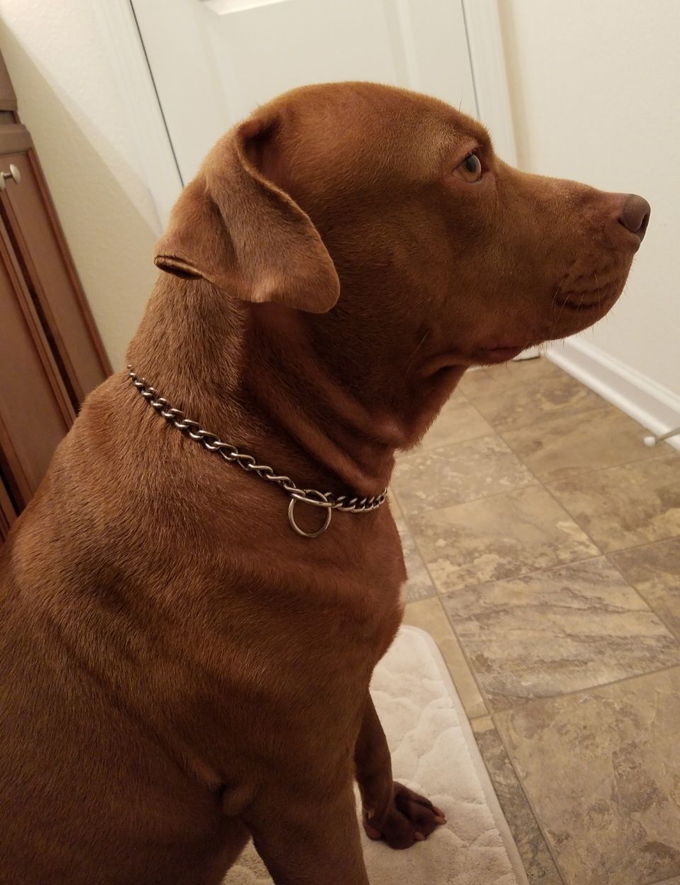 screenshot_20240517_132942_gallery3123809433110024358