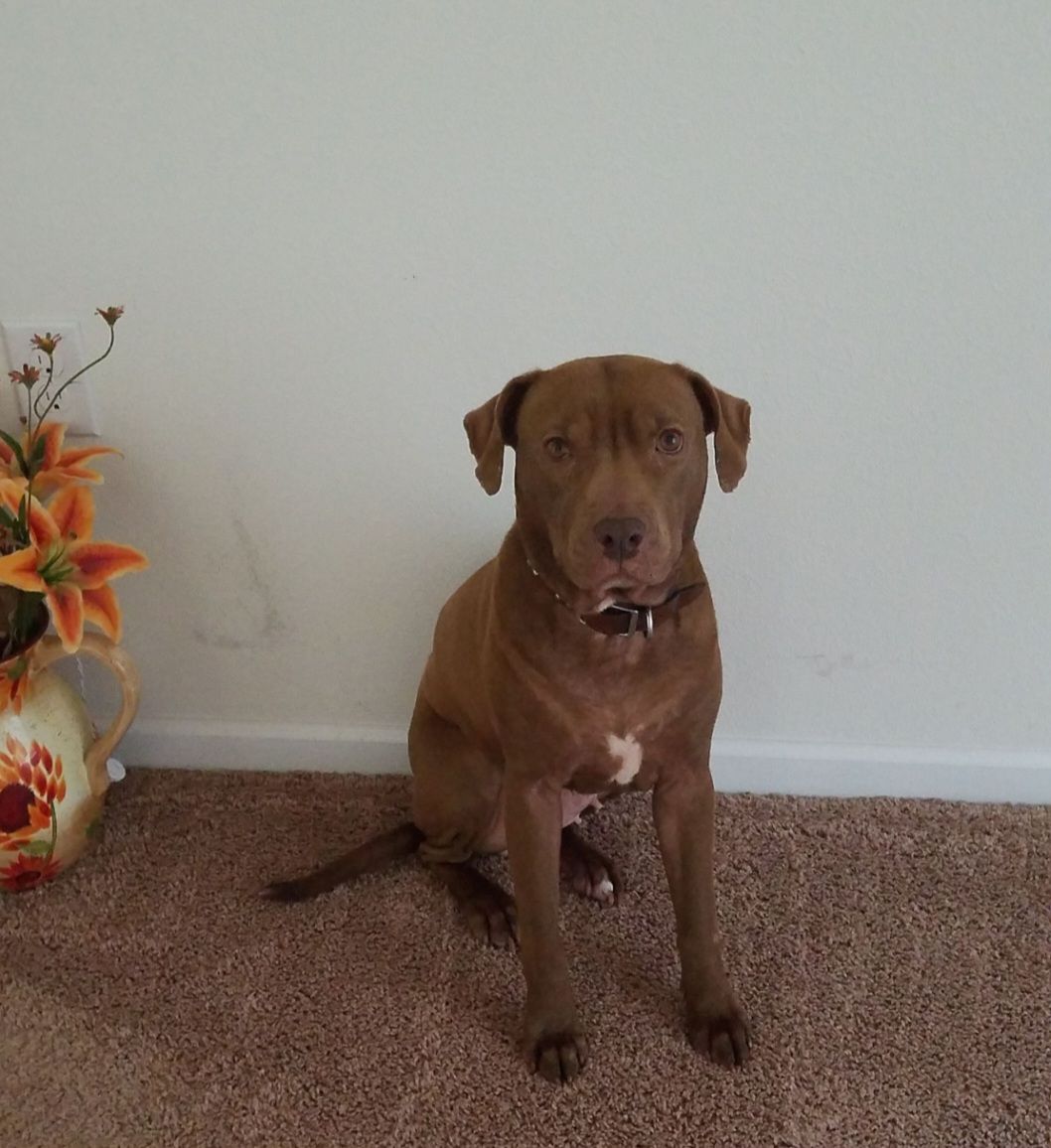 screenshot_20240517_133328_gallery8004160952333271519