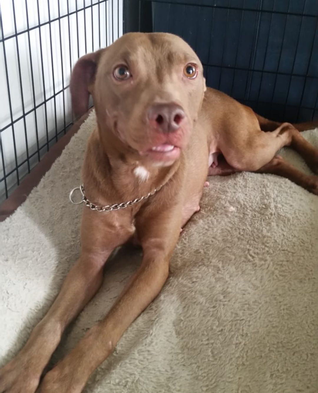 screenshot_20240517_133541_gallery3350428858968831749