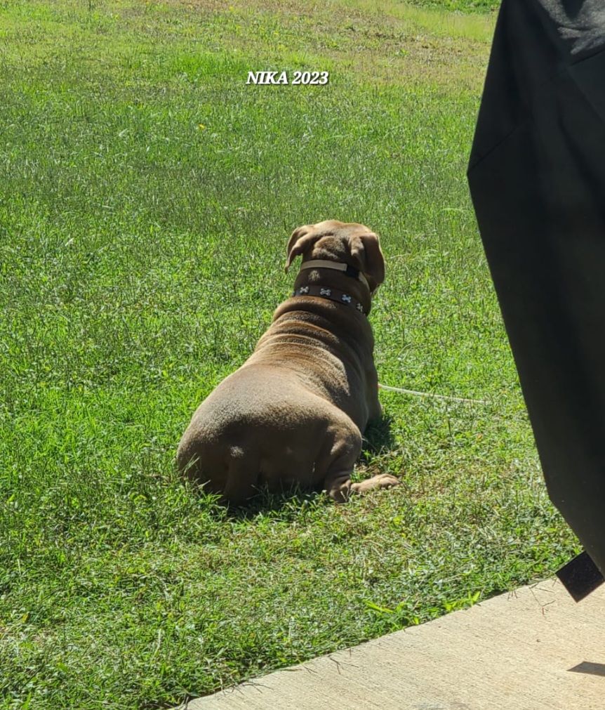 screenshot_20240517_133809_gallery7629703030710074369