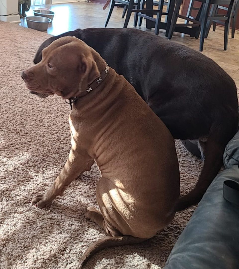 screenshot_20240517_133854_gallery3889932088556874868