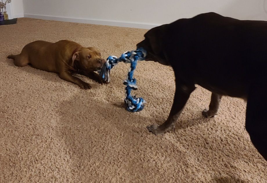 screenshot_20240517_134047_gallery4724693937469185507