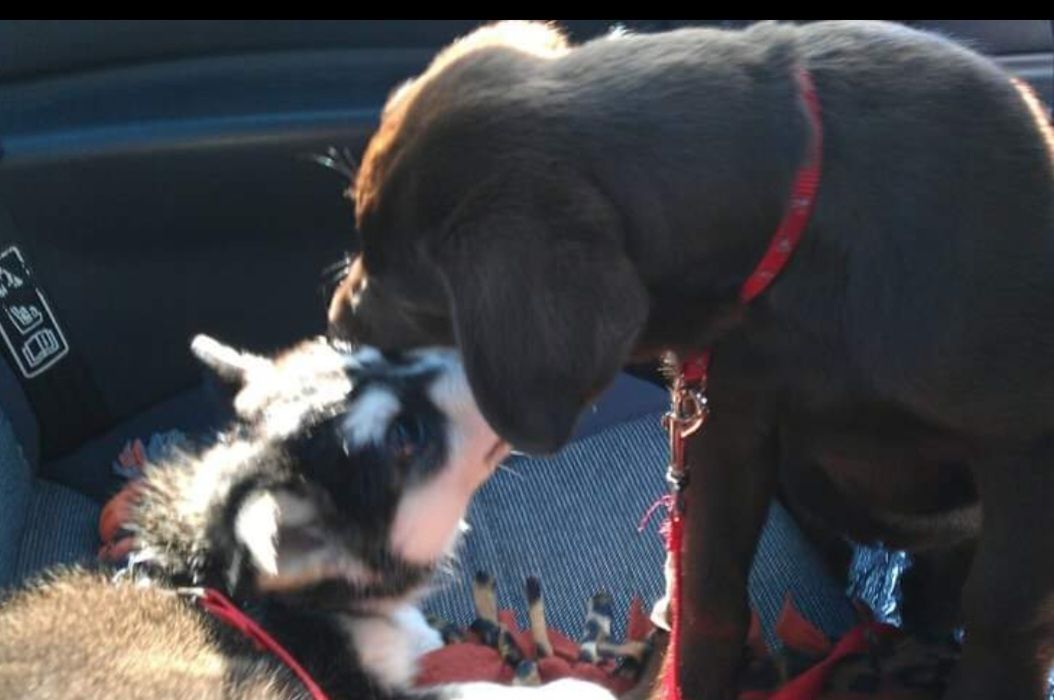 screenshot_20240517_135044_gallery7406604701255023977