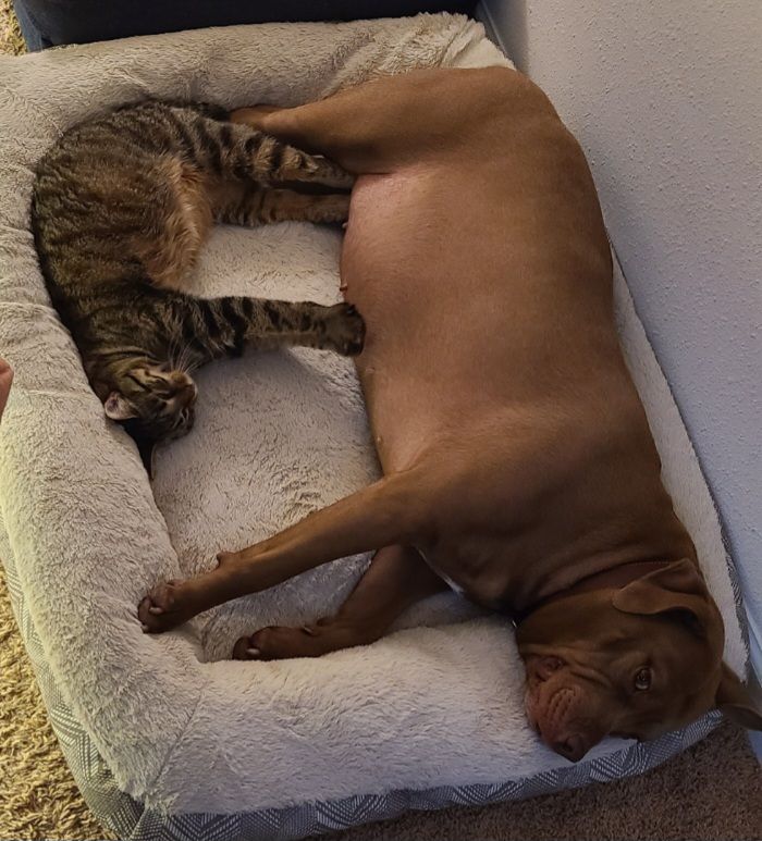 screenshot_20240517_143140_gallery2823187116362790480