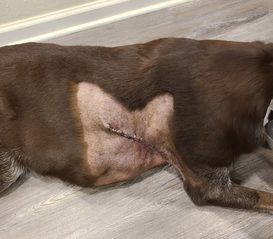 screenshot_20240517_144048_gallery968686958521686582