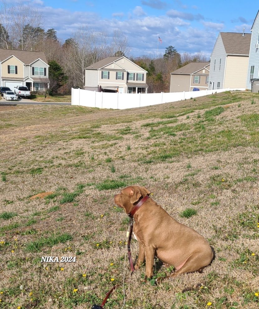 screenshot_20240517_144237_gallery7602955275182881152