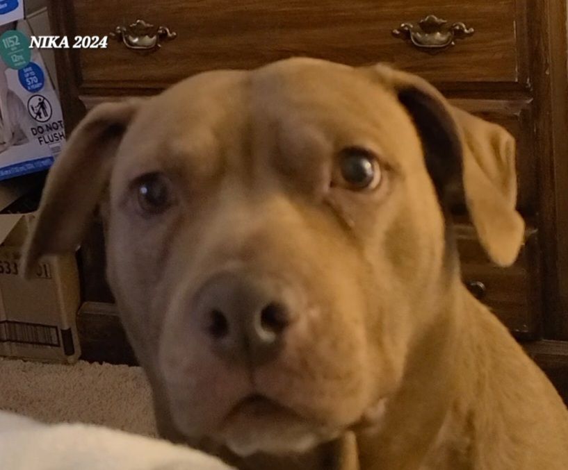 screenshot_20240517_224618_gallery3085431034188717480