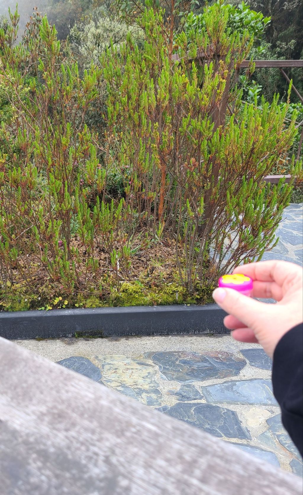 20250322_1442355445579583581555485